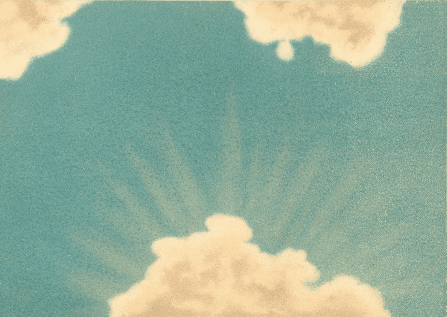 Botanical illustration