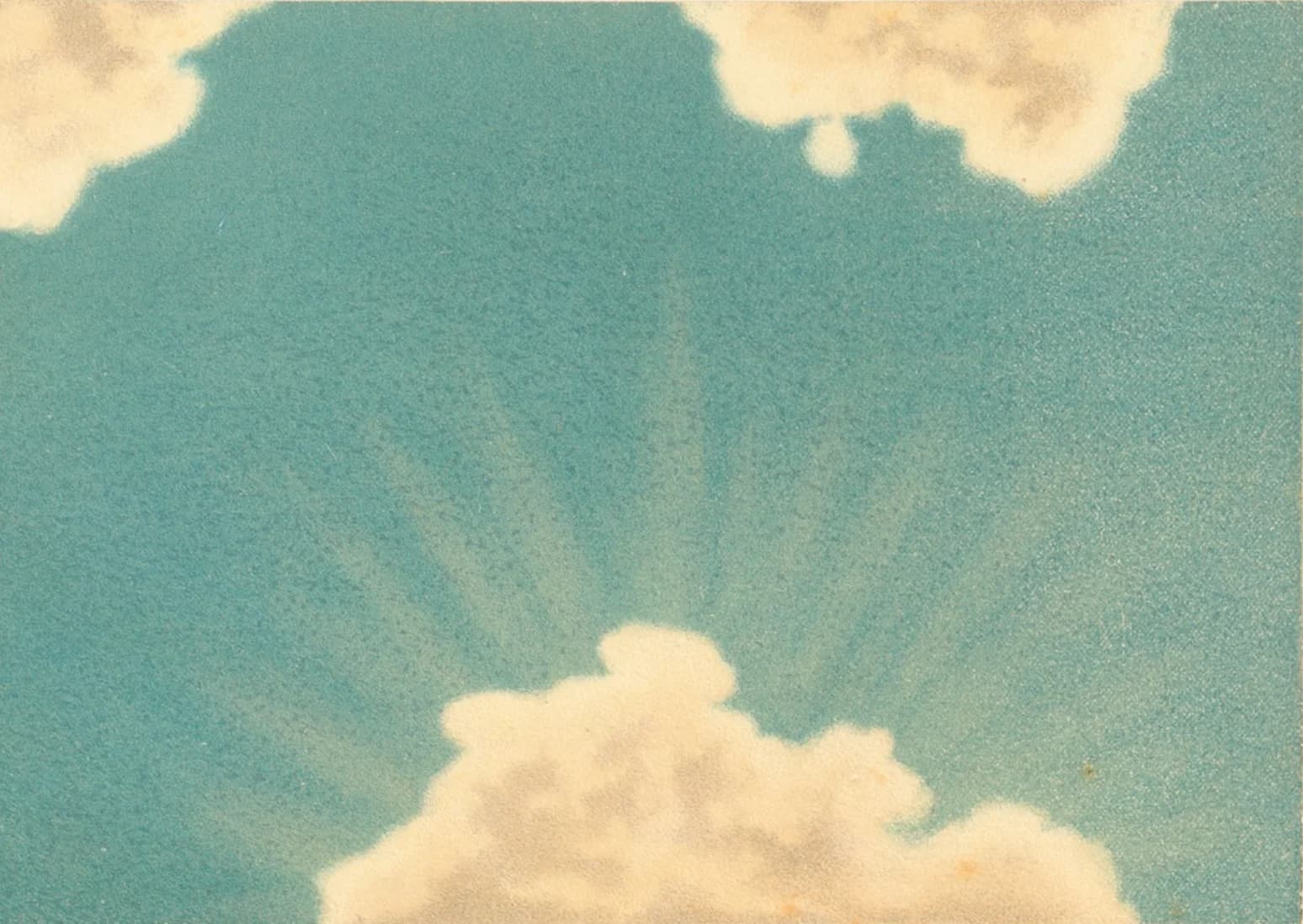 Botanical illustration