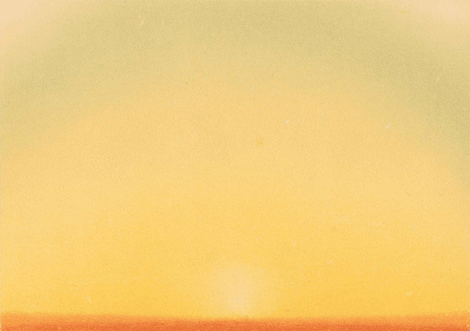 Botanical illustration