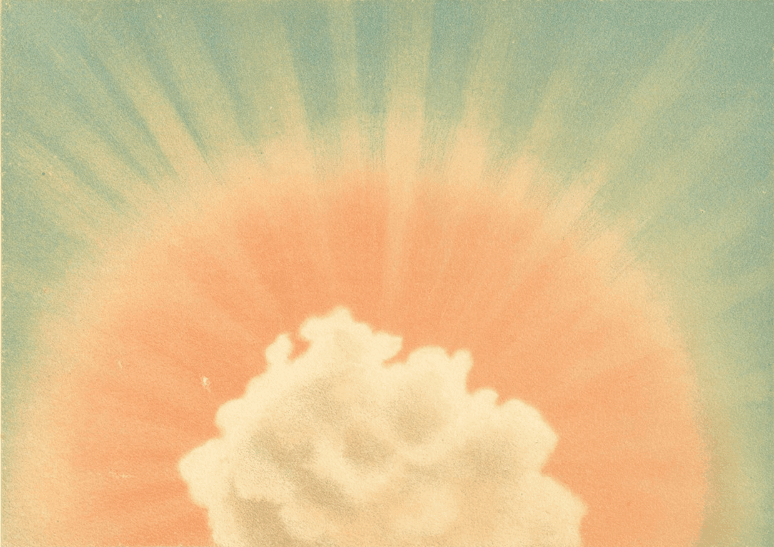 Botanical illustration